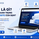 UX Là Gì và Tại Sao Quan Trọng Với Website Của Bạn?